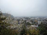 Blick auf Hakone vom Hasedera