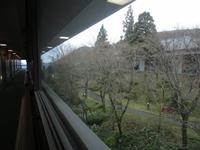 Blick vom Ryokan in den Garten