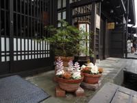 Blumenarrangement in den Gassen Takayamas