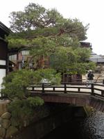 Natur und Brücke in Takayama