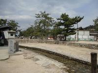 Miyajima_8