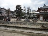 Miyajima_11