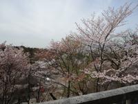 Blick auf die schöne Natur Kyôtos vom Kiyomizudera-Tempel aus gesehen