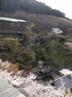 Blick in die Natur vom Kiyomizudera-Tempel