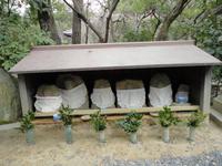 Jizo-Statuen im Ryoanji