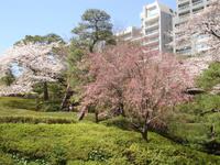 ToKio - Happoen Garten 