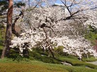 ToKio - Happoen Garten 