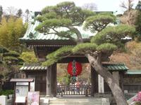 Kamakura - Eingang zum Garten des Hasedera-Tempels