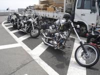 Harley -Motorräder auch in Japan sehr beliebt