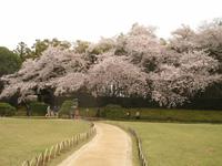 Okayama , im Korakuen Wandelgarten
