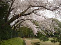 Okayama , im Korakuen Wandelgarten