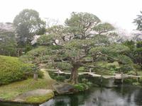 Okayama , im Korakuen Wandelgarten