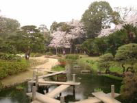 Okayama , im Korakuen Wandelgarten