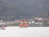 Blick zur Insel Miyajima mit dem berühmten Itsukushima- Tori