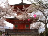 Insel Miyajima 