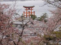 Insel Miyajima - Blick auf das 