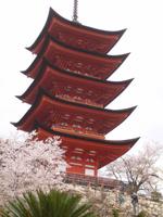 Insel Miyajima 