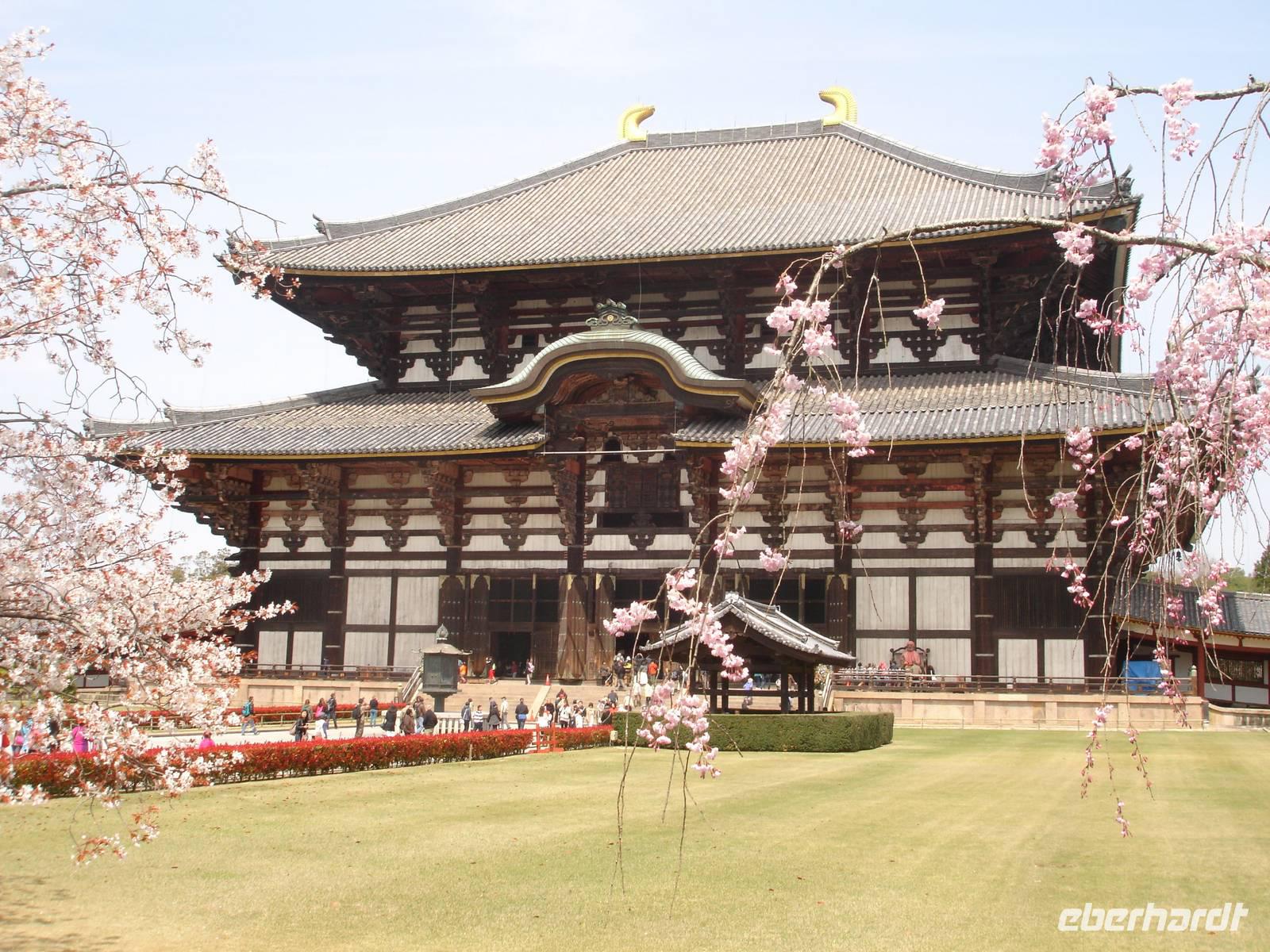 Nara - ein letzter Blick zum Todaiji-Tempel