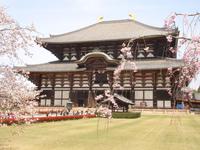 Nara - ein letzter Blick zum Todaiji-Tempel