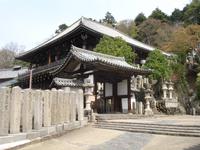 Nara - im Nationalpark