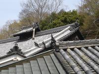 Nara - Blick auf die Dächer im Nationalpark