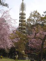 Nara - im Nationalpark