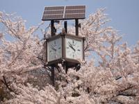 Kyoto - am Kiyomizu - Tempel 