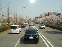 Kyoto - auf der Stadtrundfahrt