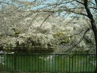 Kyoto - auf der Stadtrundfahrt