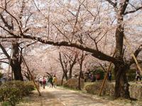 Kyoto - am Philosophenweg