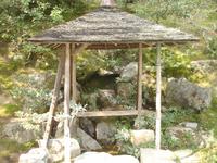 Kyoto -  im Park des Kinkakuji-Tempel (Goldener Pavillon)