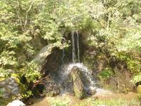 Kyoto -  im Park des Kinkakuji-Tempel (Goldener Pavillon)