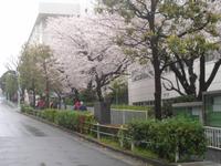 Tokio - auf dem Weg zum Hotel