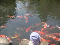 ...im Happoen Garten