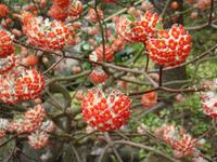 an jeder Ecke etwas Neues