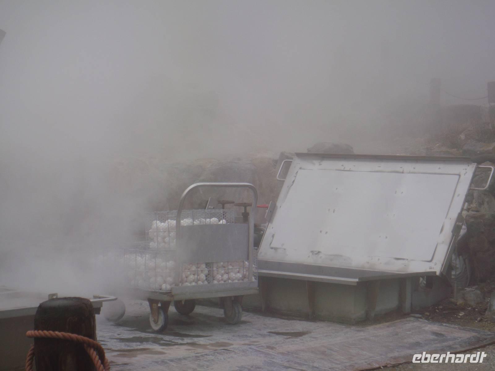 Besuch des Owakudani Tal