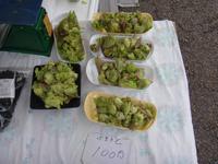 ...und 1000 kleine Dinge