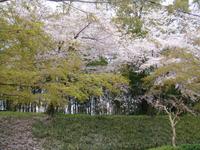 Okayama Korakuen Garten (Wandelgarten)