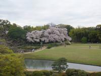 Okayama Korakuen Garten (Wandelgarten)