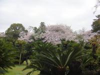 Okayama Korakuen Garten (Wandelgarten)