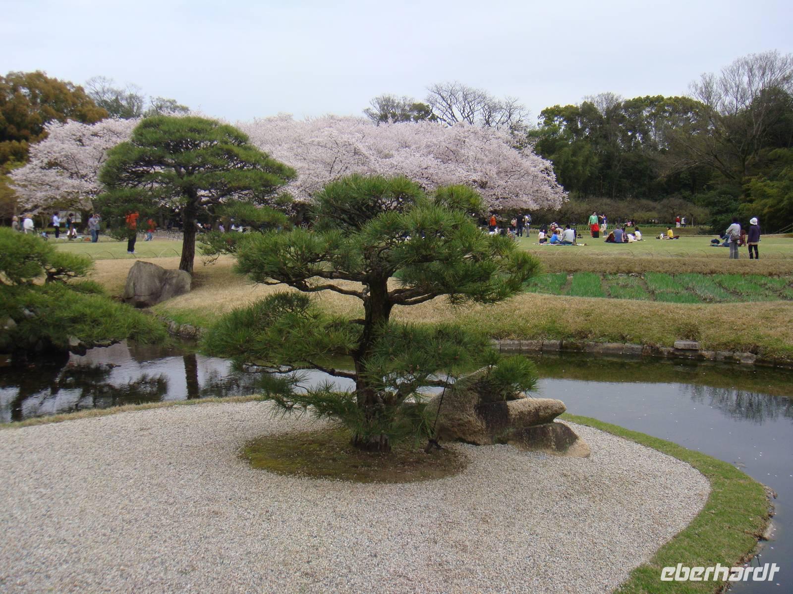 Okayama Korakuen Garten (Wandelgarten)