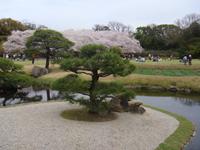 Okayama Korakuen Garten (Wandelgarten)