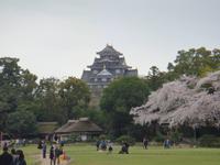 Okayama Korakuen Garten (Wandelgarten)