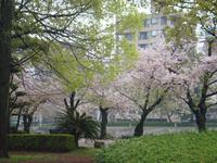 Friedenspark in Hiroshima