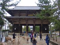 im Todaiji Tempels