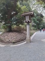 Am Meiji-Schrein in Tokio