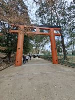 Ausflug nach Nara