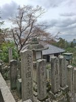 Ausflug nach Nara
