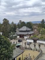 Ausflug nach Nara