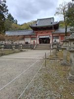 Ausflug nach Nara